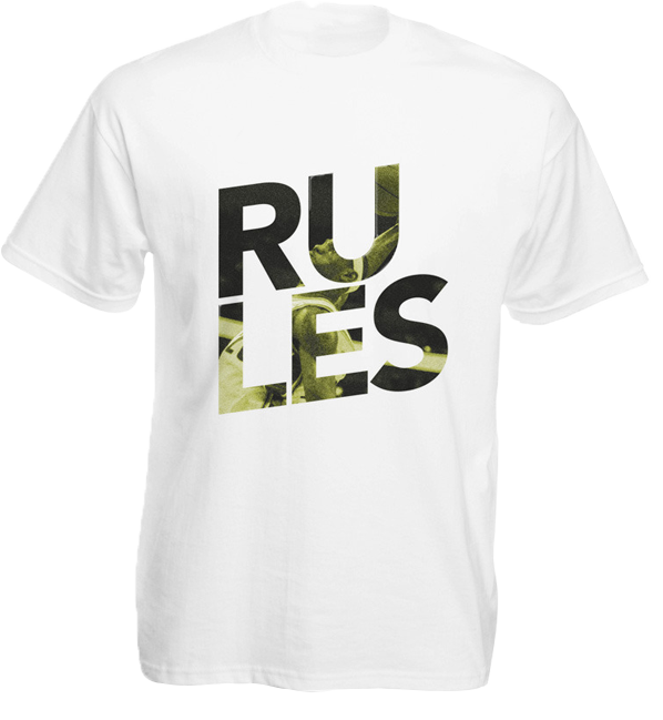 24_tshirt.png