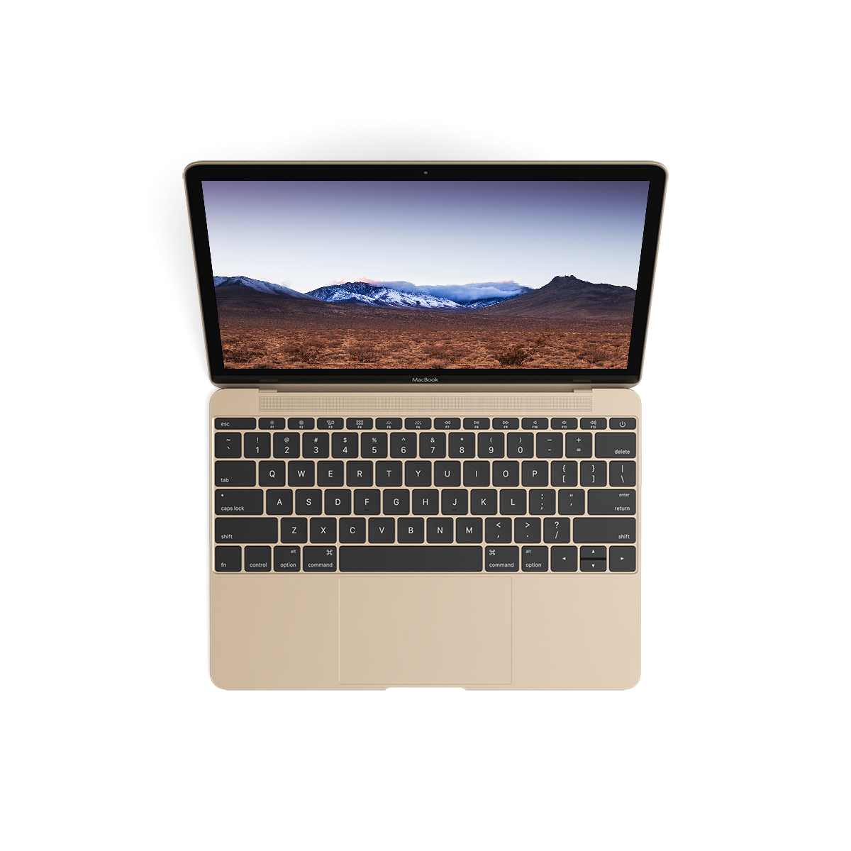 macbook_gold-1.png